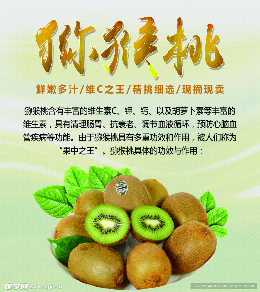 水果  灯箱 猕猴桃 功效 桃