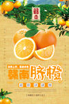 脐橙