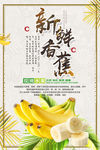 香蕉海报