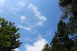 蓝天白云