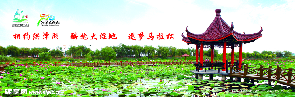 洪泽湖湿地