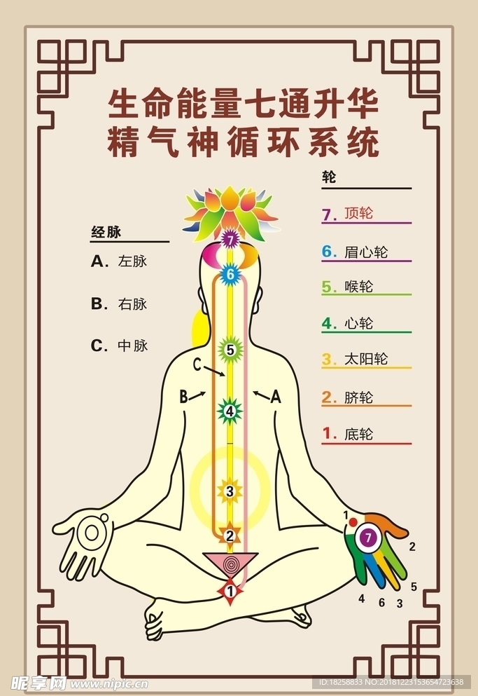 精气神循环系统