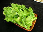 油菜心