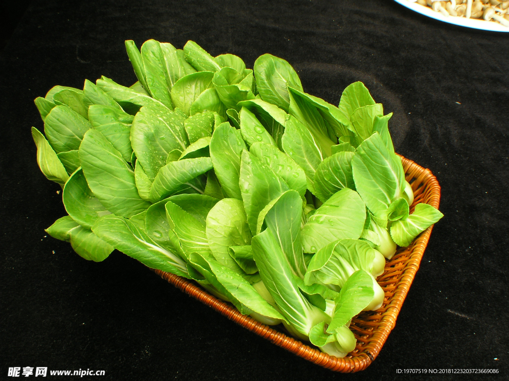 油菜心