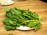 青菜 蔬菜