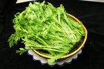 蓬蒿