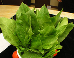 菠菜