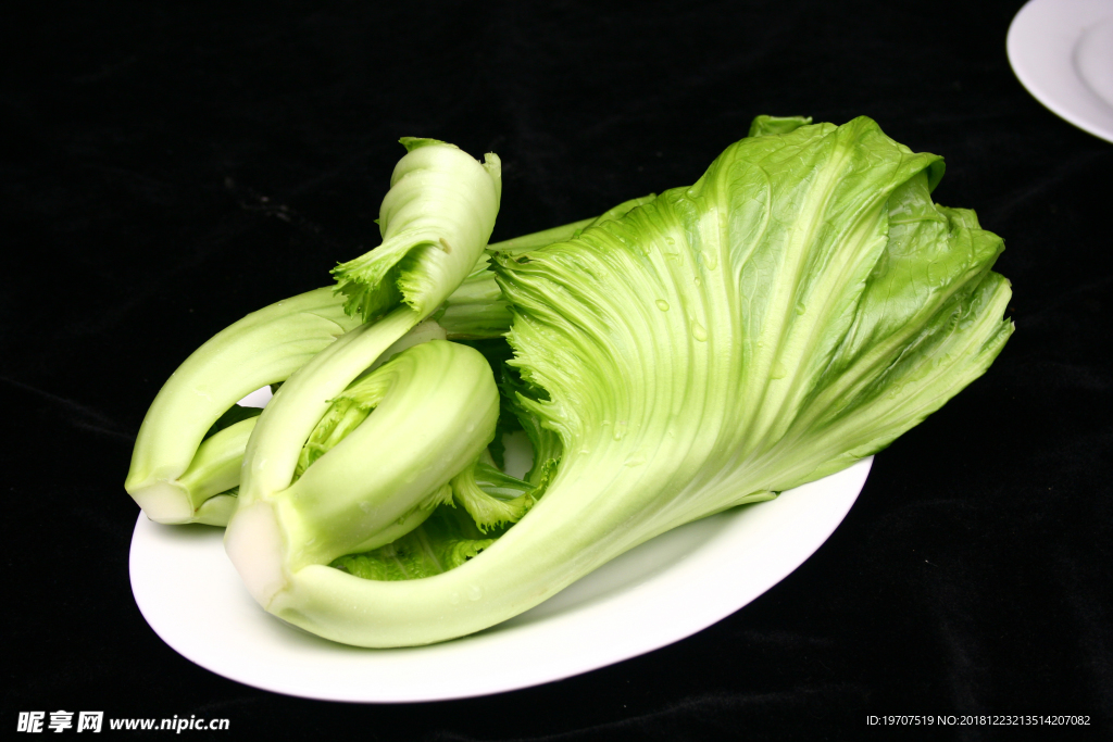 盖菜