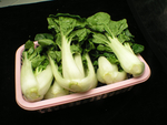 奶白菜