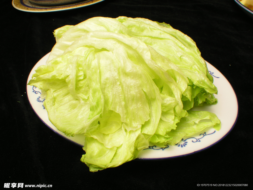 生菜