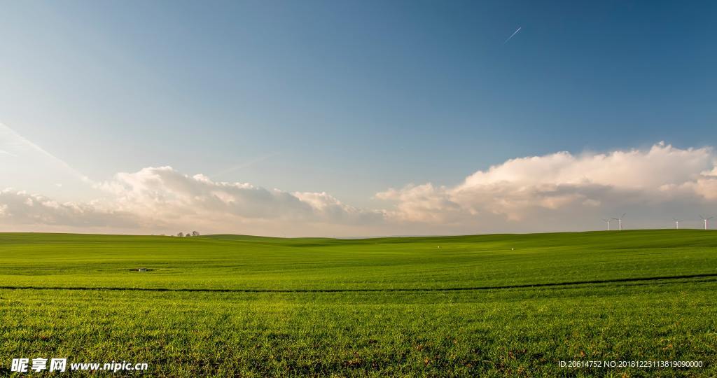 蓝天下的草原风景