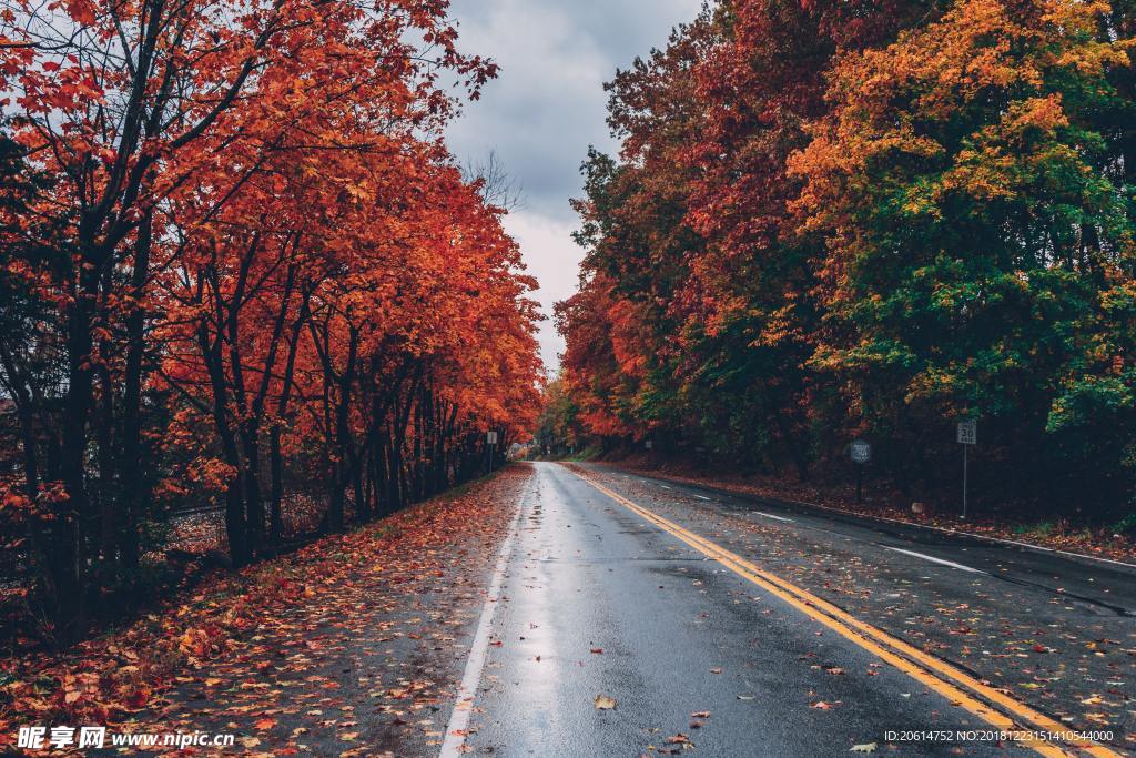 空荡荡的道路风景