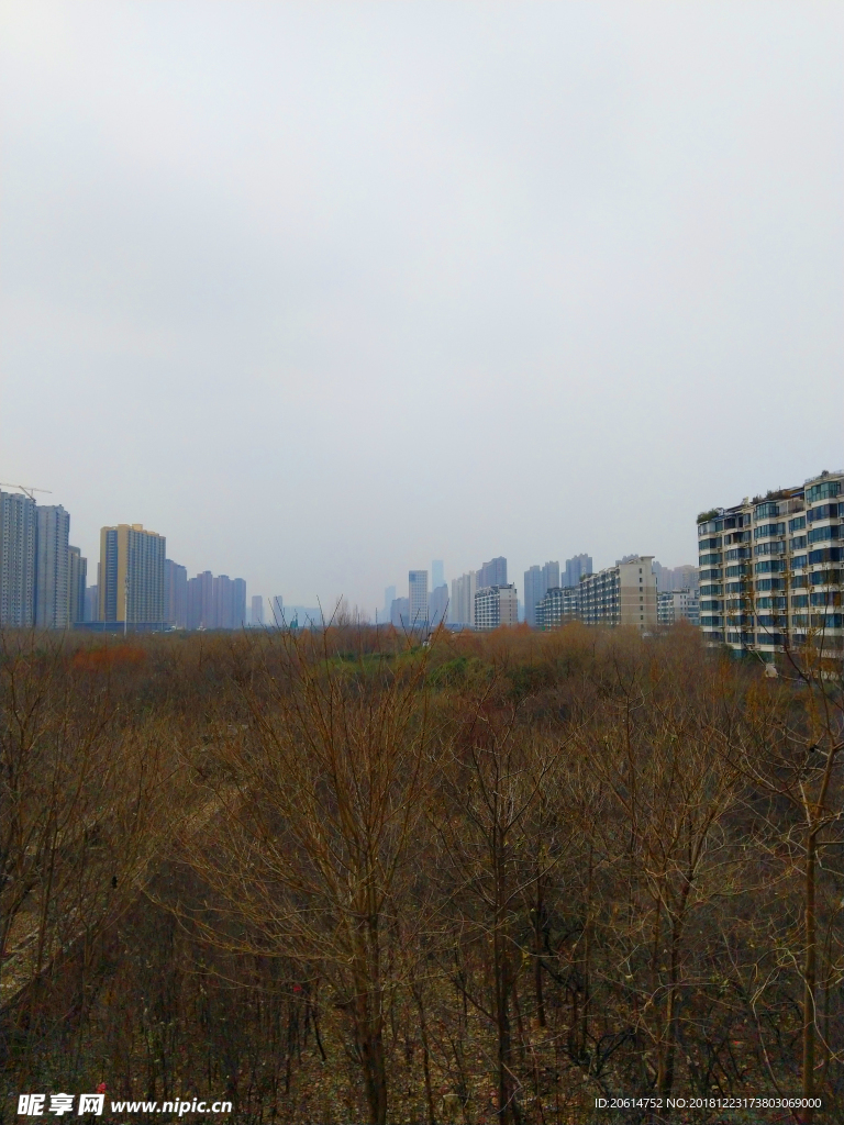 深秋时节的城市风光
