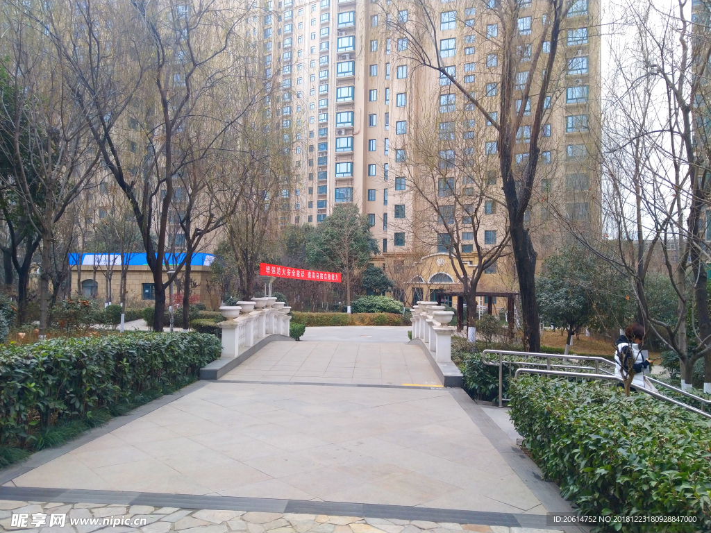 小区美景