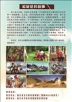 松鼠部落宣传页-反