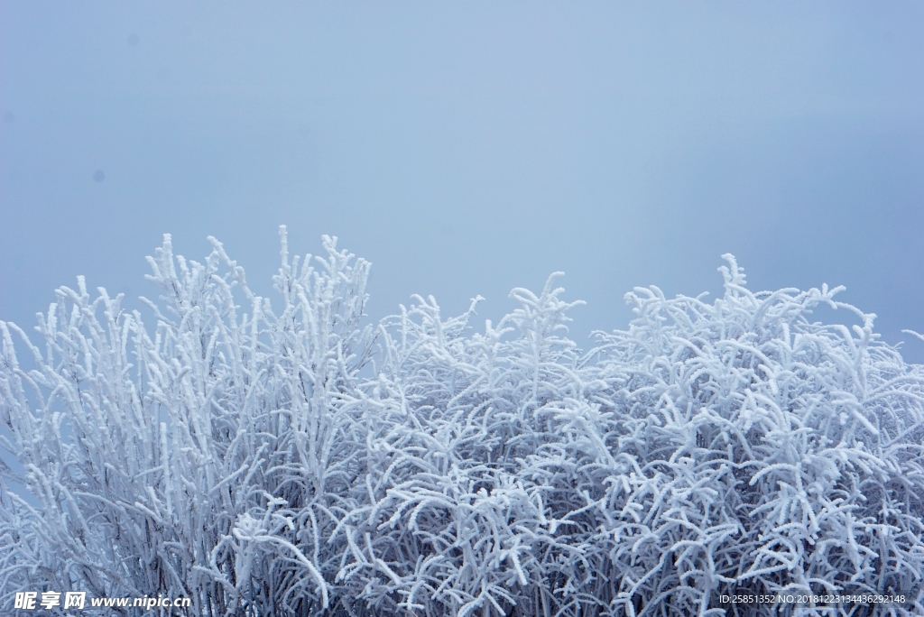 雪景