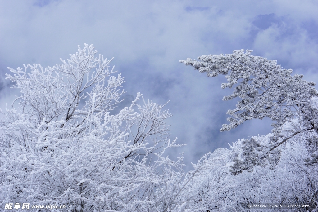 雪景