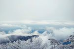 雪景