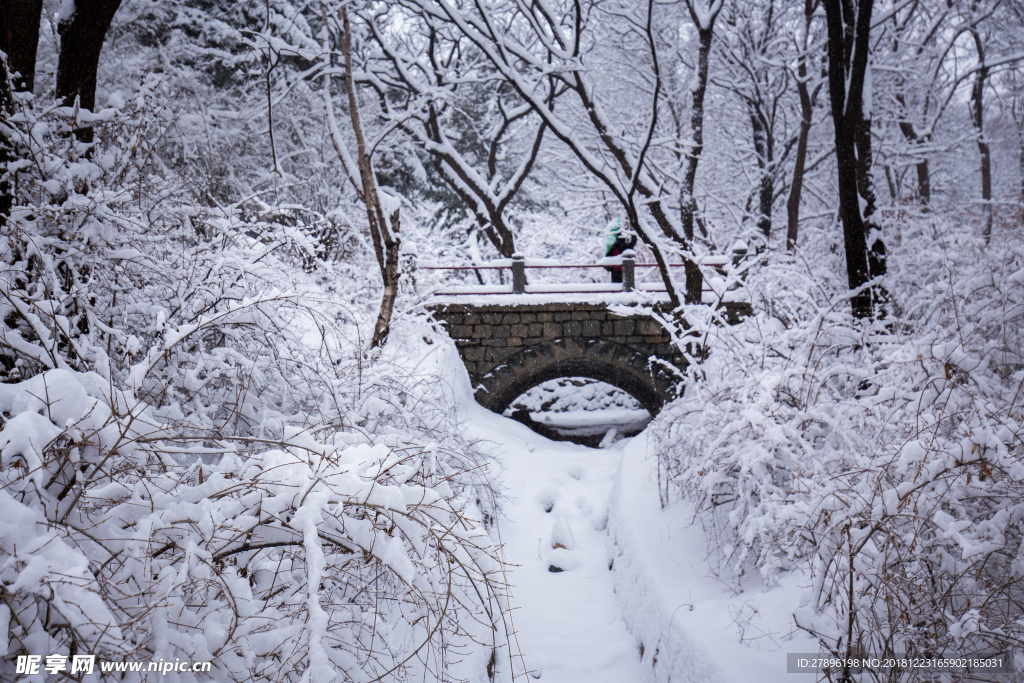 雪景