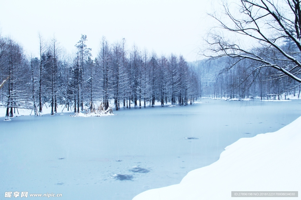 雪景