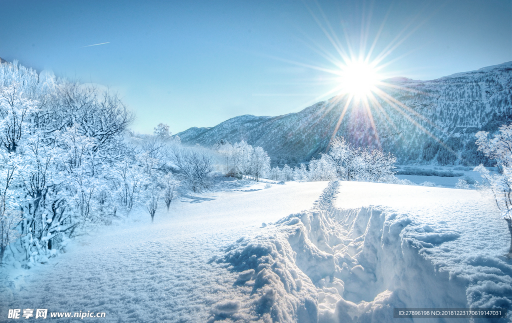 雪景