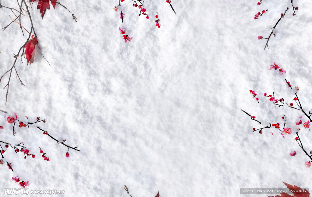 积雪