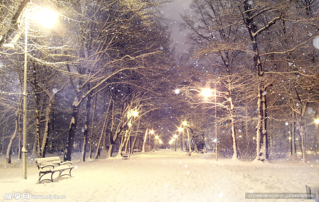 夜晚雪景