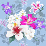 花卉