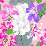 花卉