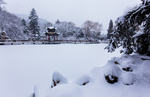雪景