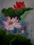吴玉阳工笔画重彩画荷花蜻蜓