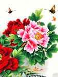 牡丹花