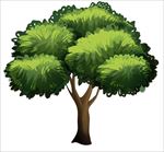 卡通树木树林