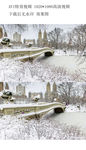 冬天雪景AVI下雪视频