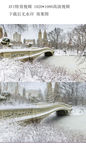 梦幻冬天雪景AVI下雪视频