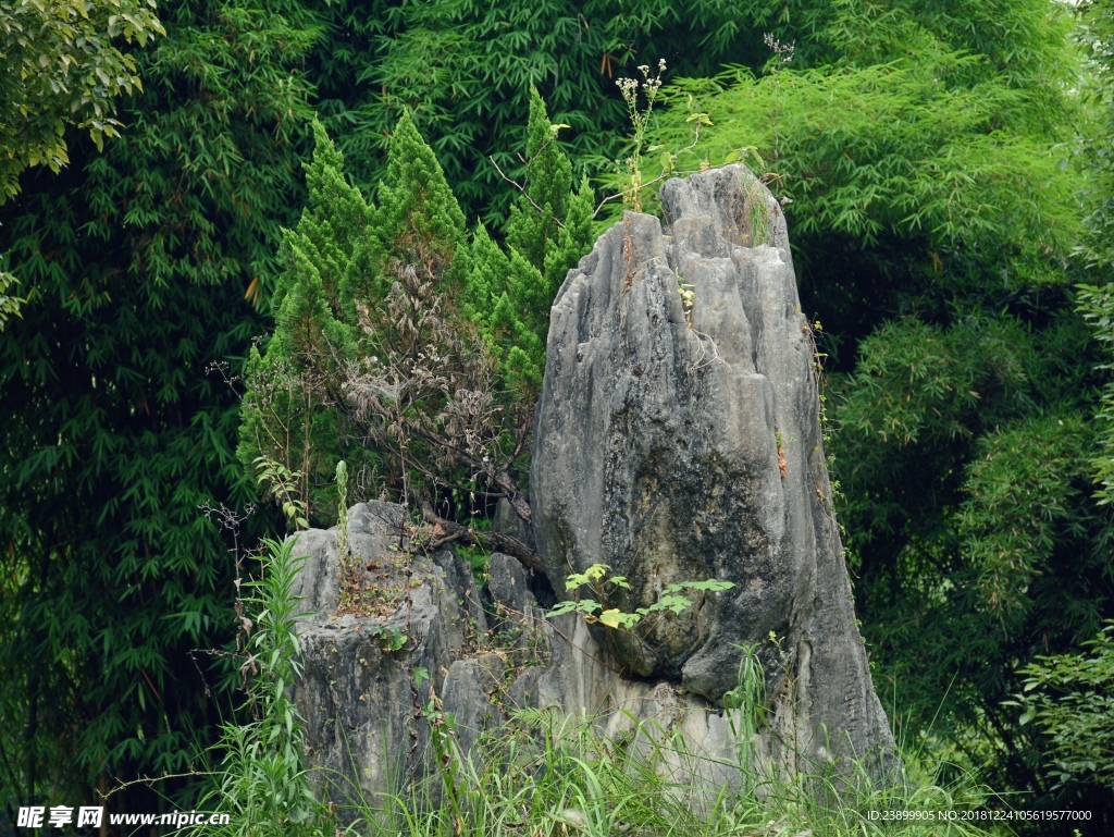 假山