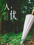 二十四节气之入伏