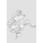 线稿 线描 简洁手绘 手绘画