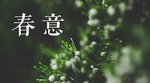 微信公众号图