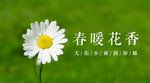 微信公众号图