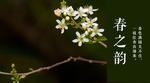 微信公众号图