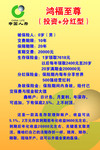 鸿福至尊