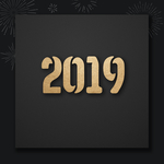 2019猪年