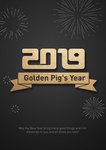 2019猪年