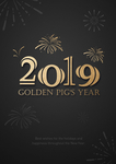 2019猪年