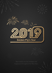 2019猪年