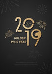 2019猪年