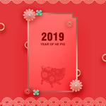 2019猪年
