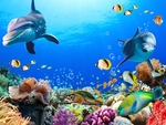 海底世界