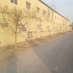 农村围墙